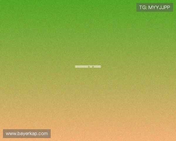 穿越虚实之间：探寻“幻梦”的无限可能